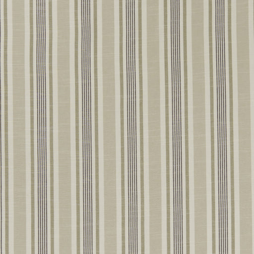 CLARKE AND CLARKE - F1310/03 - MAPPLETON - Fabric By the Yard