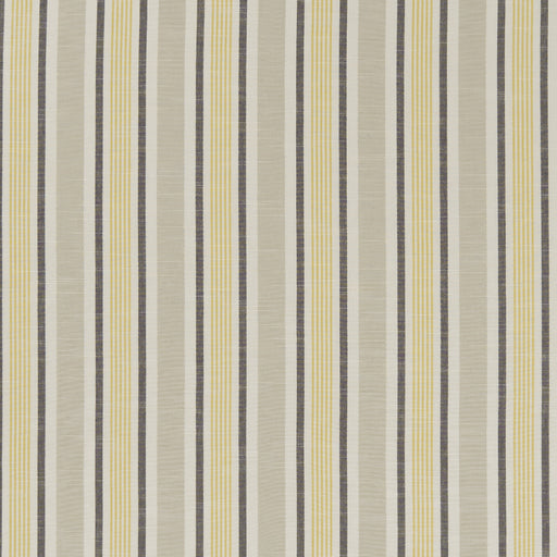 CLARKE AND CLARKE - F1310/07 - MAPPLETON - Fabric By the Yard