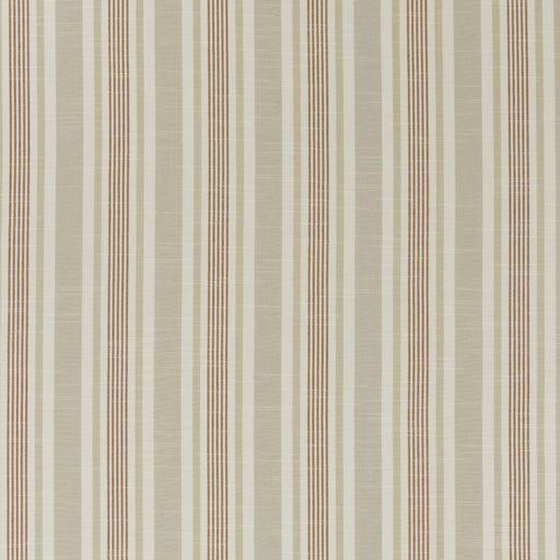 CLARKE AND CLARKE - F1310/08 - MAPPLETON - Fabric By the Yard