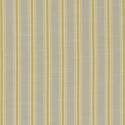 CLARKE AND CLARKE - F1311/03 - THORNWICK - Fabric By the Yard