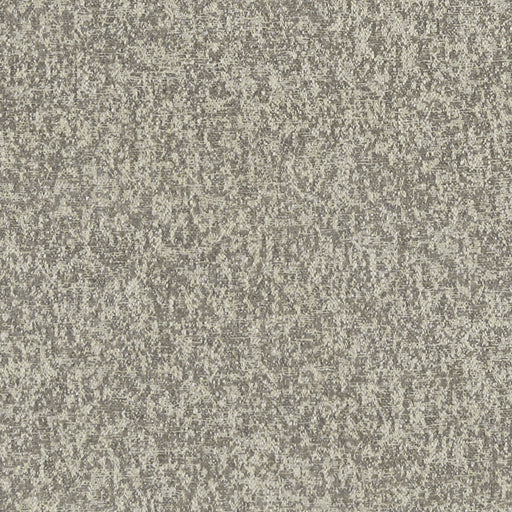 CLARKE AND CLARKE - F1321/05 - LOGAN - Fabric By the Yard