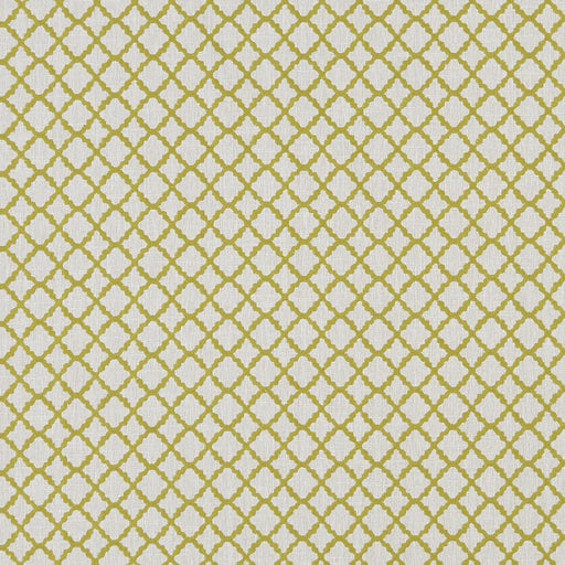 CLARKE AND CLARKE - ARIYANA- CHARTREUSE - Fabric by the Yard CHARTREUSE