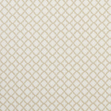 CLARKE AND CLARKE - ARIYANA- NATURAL - Fabric by the Yard