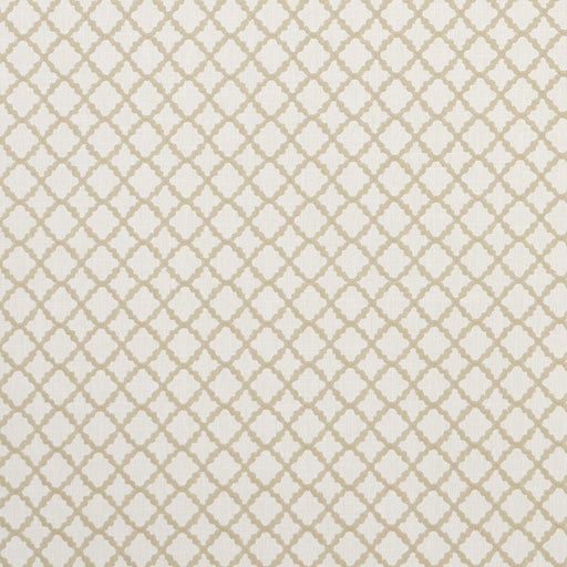 CLARKE AND CLARKE - ARIYANA- NATURAL - Fabric by the Yard NATURAL