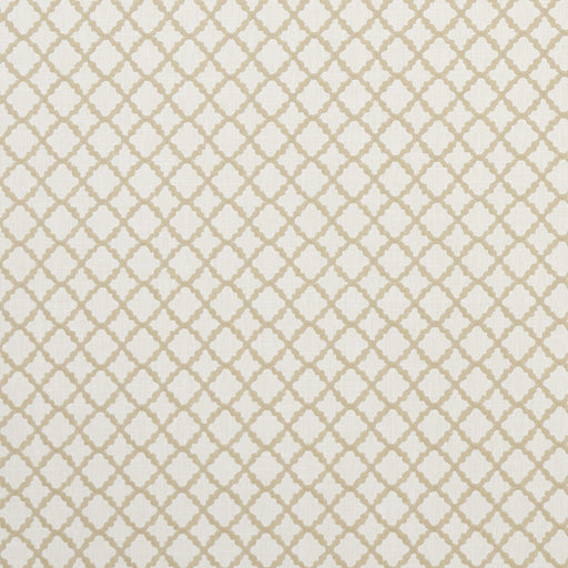 CLARKE AND CLARKE - F1364/07 - ARIYANA - Fabric By the Yard