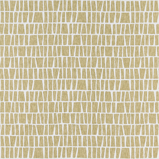 CLARKE AND CLARKE - F1414/06 - QUADRO - Fabric By the Yard