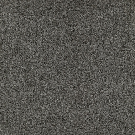 CLARKE AND CLARKE - F1416/03 - ACIES - Fabric By the Yard