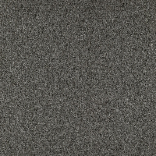 CLARKE AND CLARKE - ACIES- CHARCOAL - Fabric by the Yard CHARCOAL