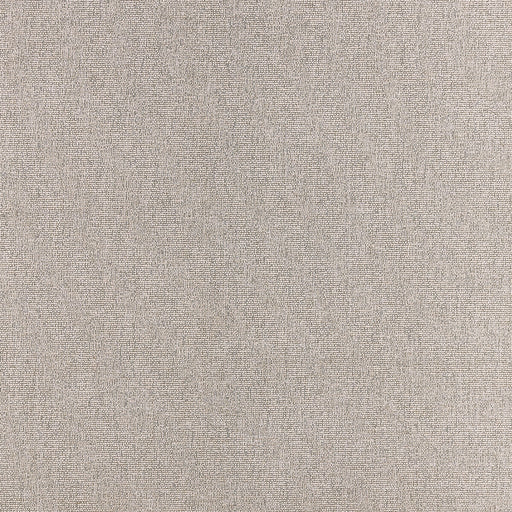 CLARKE AND CLARKE - ACIES- TAUPE - Fabric by the Yard TAUPE