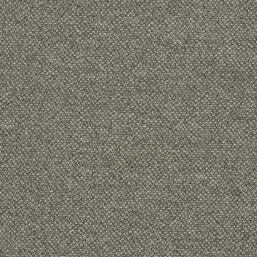 CLARKE AND CLARKE - F1421/01 - FILUM - Fabric By the Yard