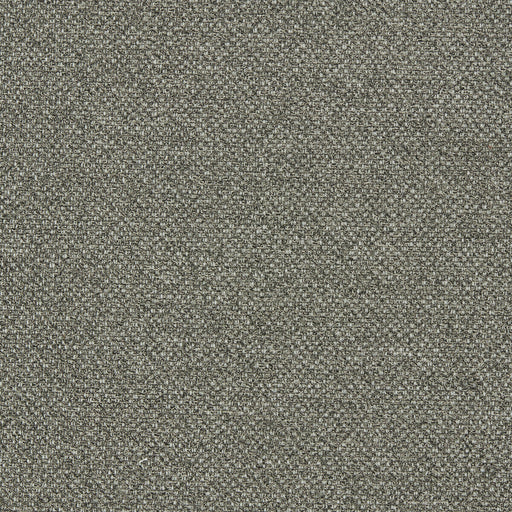 CLARKE AND CLARKE - FILUM- EARTH - Fabric by the Yard EARTH