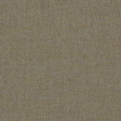 CLARKE AND CLARKE - F1422/01 - LLANARA - Fabric By the Yard