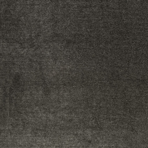 CLARKE AND CLARKE - MACULO- ESPRESSO - Fabric by the Yard ESPRESSO