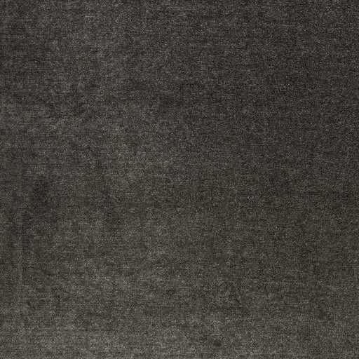 CLARKE AND CLARKE - F1423/06 - MACULO - Fabric By the Yard