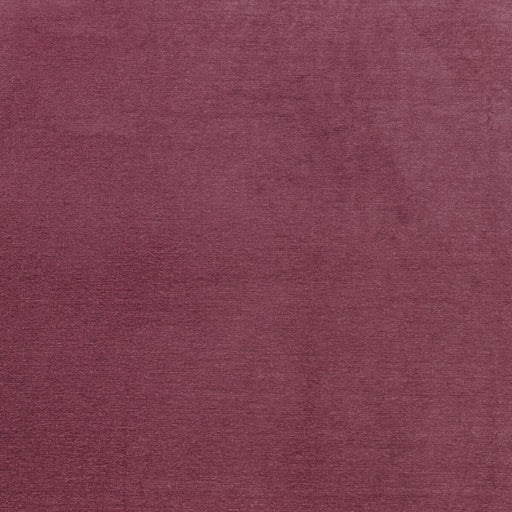 CLARKE AND CLARKE - MACULO- RASPBERRY - Fabric by the Yard RASPBERRY