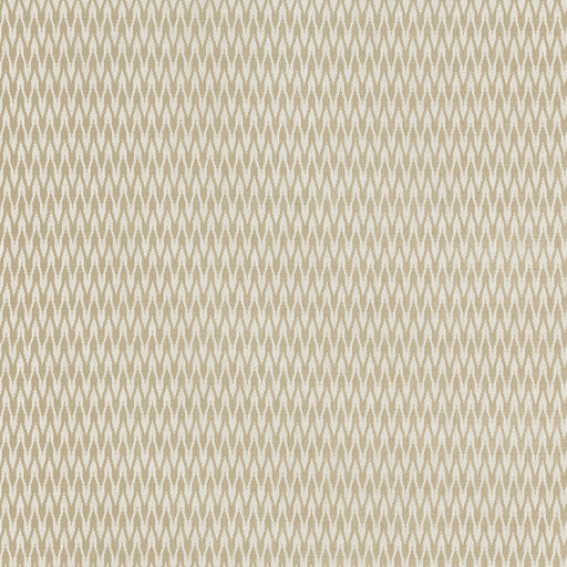 CLARKE AND CLARKE - F1435/01 - APEX - Fabric By the Yard