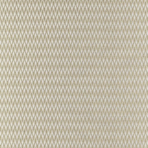 CLARKE AND CLARKE - F1435/02 - APEX - Fabric By the Yard