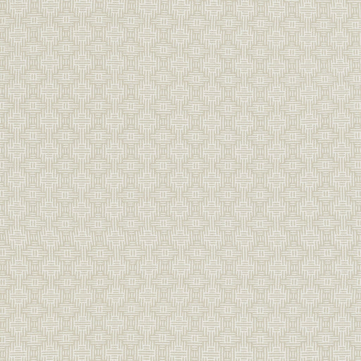 CLARKE AND CLARKE - AZTEC- IVORY - Fabric by the Yard IVORY