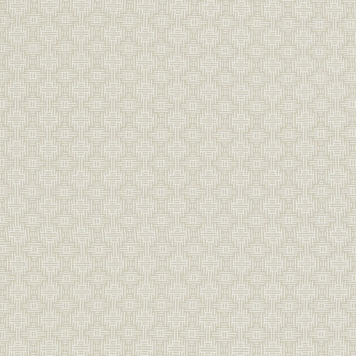 CLARKE AND CLARKE - F1438/02 - AZTEC - Fabric By the Yard