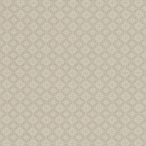 CLARKE AND CLARKE - F1438/03 - AZTEC - Fabric By the Yard