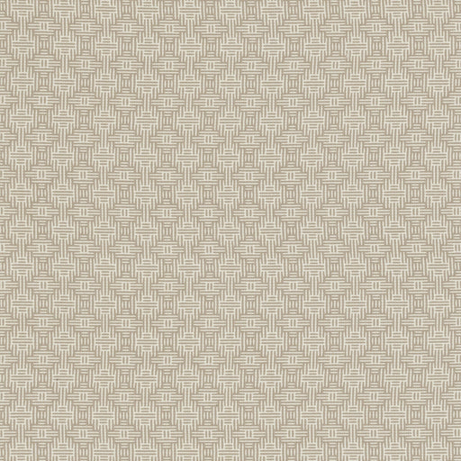 CLARKE AND CLARKE - AZTEC- LINEN - Fabric by the Yard LINEN