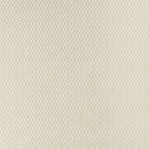 CLARKE AND CLARKE - F1445/02 - MONO - Fabric By the Yard