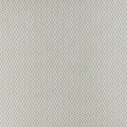 CLARKE AND CLARKE - MONO- SILVER - Fabric by the Yard SILVER