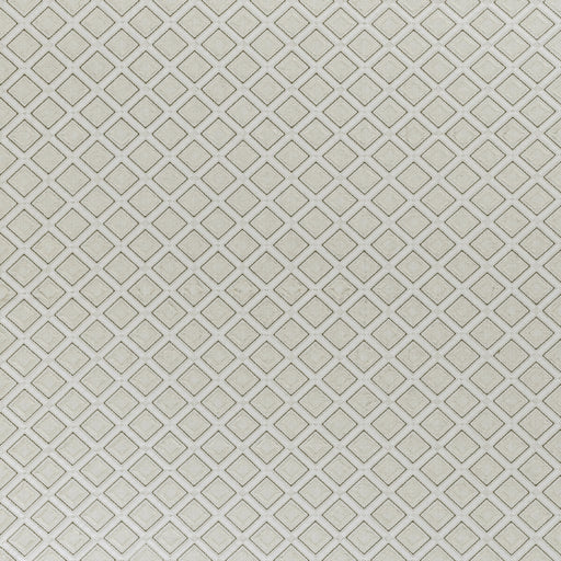 CLARKE AND CLARKE - F1448/01 - PARAGON - Fabric By the Yard