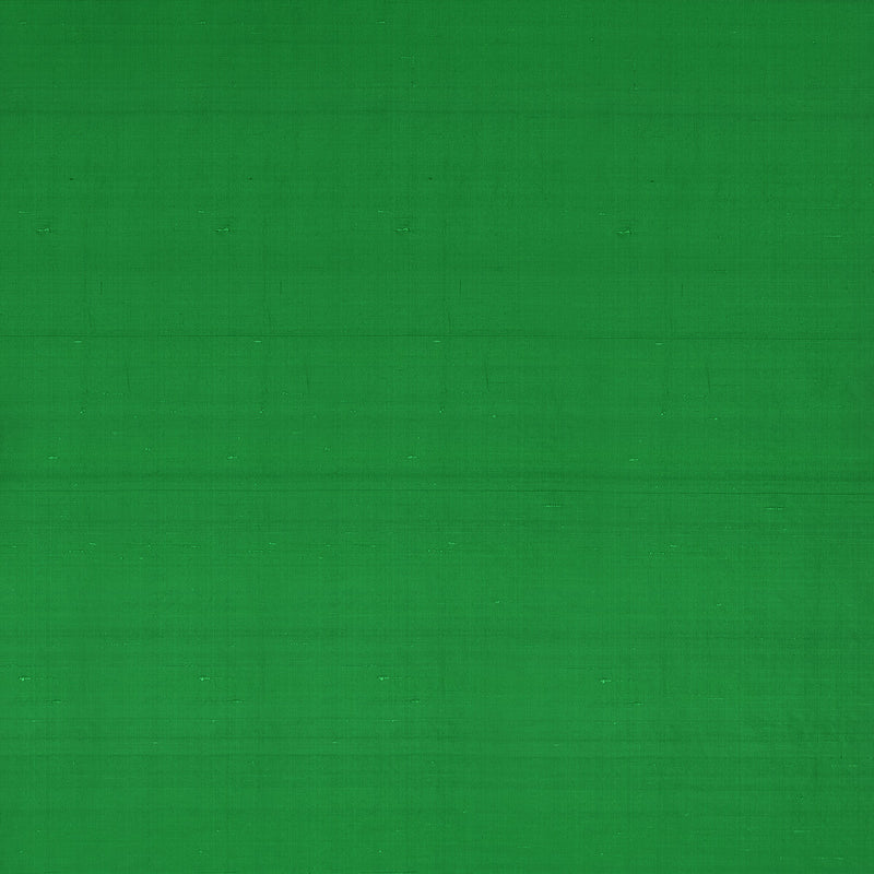 CLARKE AND CLARKE - SLYPH- FERN - Fabric by the Yard FERN