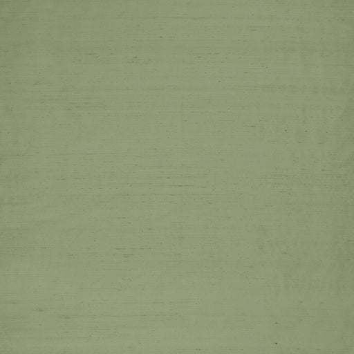 CLARKE AND CLARKE - SLYPH- PISTACHIO - Fabric by the Yard PISTACHIO