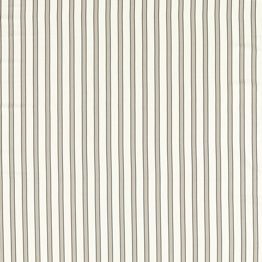 CLARKE AND CLARKE - F1499/01 - EDISON - Fabric By the Yard