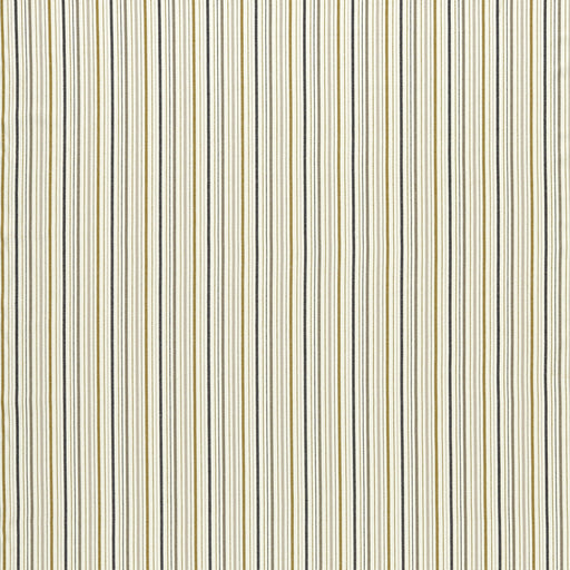 CLARKE AND CLARKE - MARYLAND- OCHRE/CHARCOAL - Fabric by the Yard OCHRE/CHARCOAL