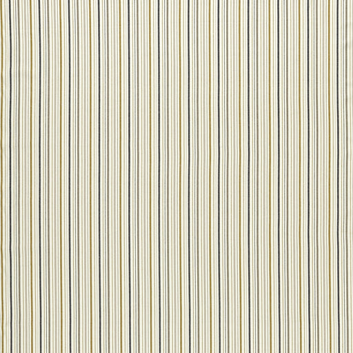 CLARKE AND CLARKE - F1501/03 - MARYLAND - Fabric By the Yard