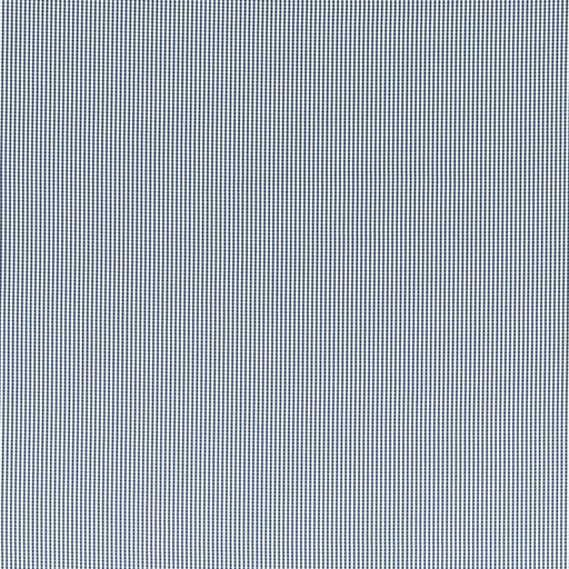 CLARKE AND CLARKE - F1505/06 - WINDSOR - Fabric By the Yard