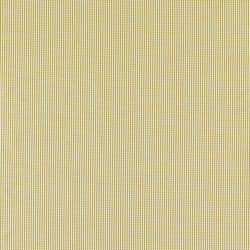 CLARKE AND CLARKE - F1505/07 - WINDSOR - Fabric By the Yard