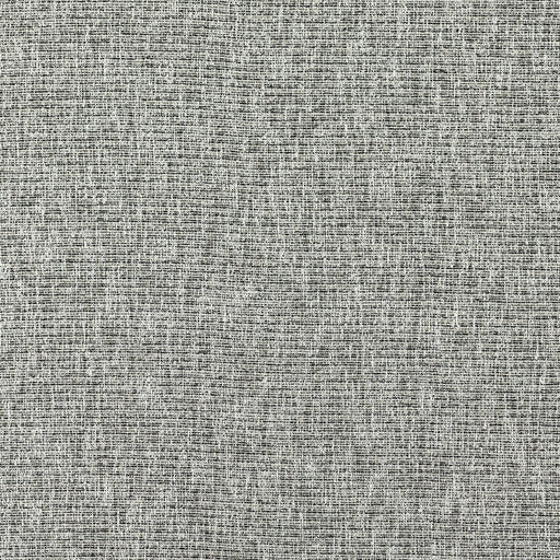 CLARKE AND CLARKE - AVANI- CHARCOAL - Fabric by the Yard CHARCOAL