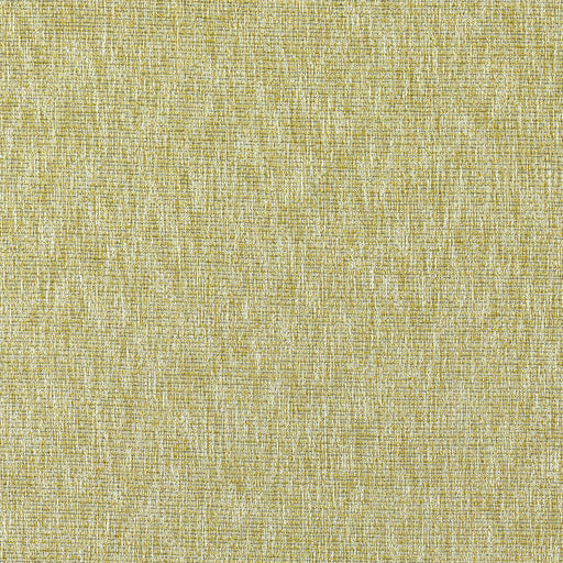 CLARKE AND CLARKE - F1527/03 - AVANI - Fabric By the Yard