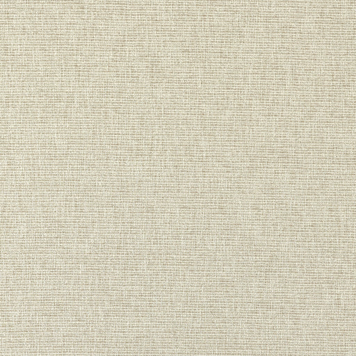 CLARKE AND CLARKE - F1527/05 - AVANI - Fabric By the Yard