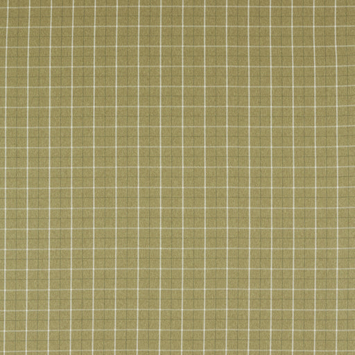 CLARKE AND CLARKE - F1571/05 - THORNTON - Fabric By the Yard