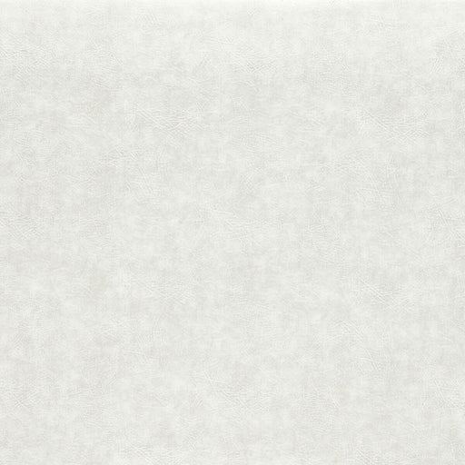 CLARKE AND CLARKE - F1598/13 - DAWSON - Fabric By the Yard