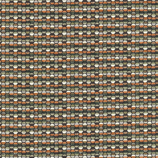 CLARKE AND CLARKE - COSMIC- FOREST - Fabric by the Yard FOREST