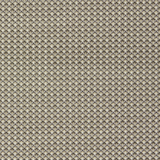 CLARKE AND CLARKE - F1617/02 - LYRA - Fabric By the Yard