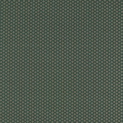 CLARKE AND CLARKE - F1618/01 - EQUATOR - Fabric By the Yard
