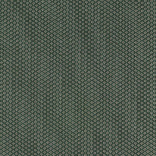 CLARKE AND CLARKE - EQUATOR- FOREST - Fabric by the Yard FOREST