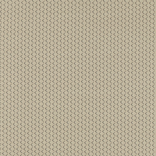 CLARKE AND CLARKE - EQUATOR- NATURAL - Fabric by the Yard NATURAL