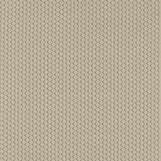 CLARKE AND CLARKE - F1618/03 - EQUATOR - Fabric By the Yard