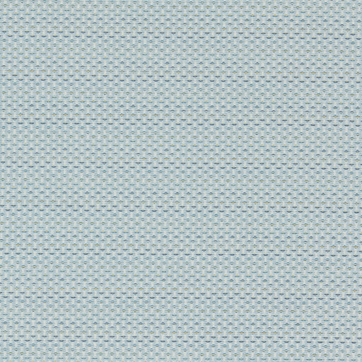 CLARKE AND CLARKE - PAVO- DUCKEGG - Fabric by the Yard DUCKEGG