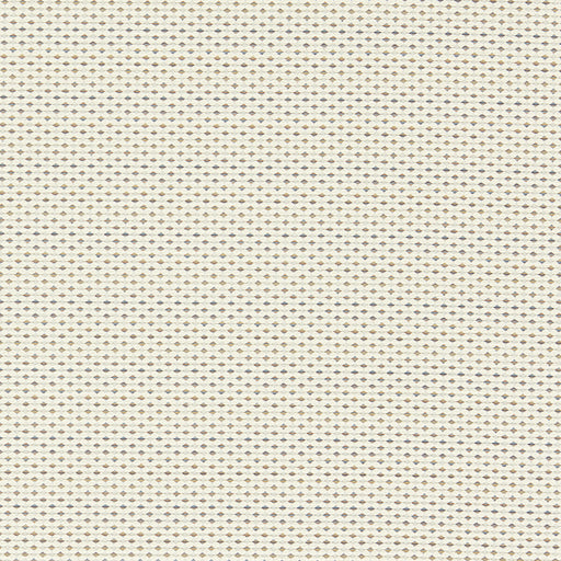 CLARKE AND CLARKE - F1620/03 - PAVO - Fabric By the Yard