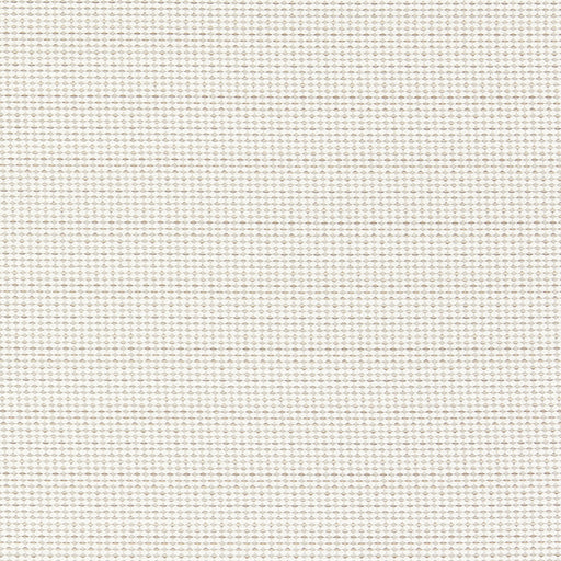 CLARKE AND CLARKE - PAVO- NATURAL - Fabric by the Yard NATURAL