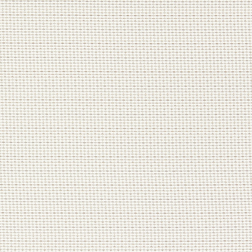 CLARKE AND CLARKE - F1620/05 - PAVO - Fabric By the Yard